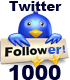 1000 Twitter Followers