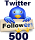 500 Twitter Followers